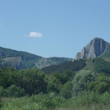 Studiouri Valisoara Kültér fotó