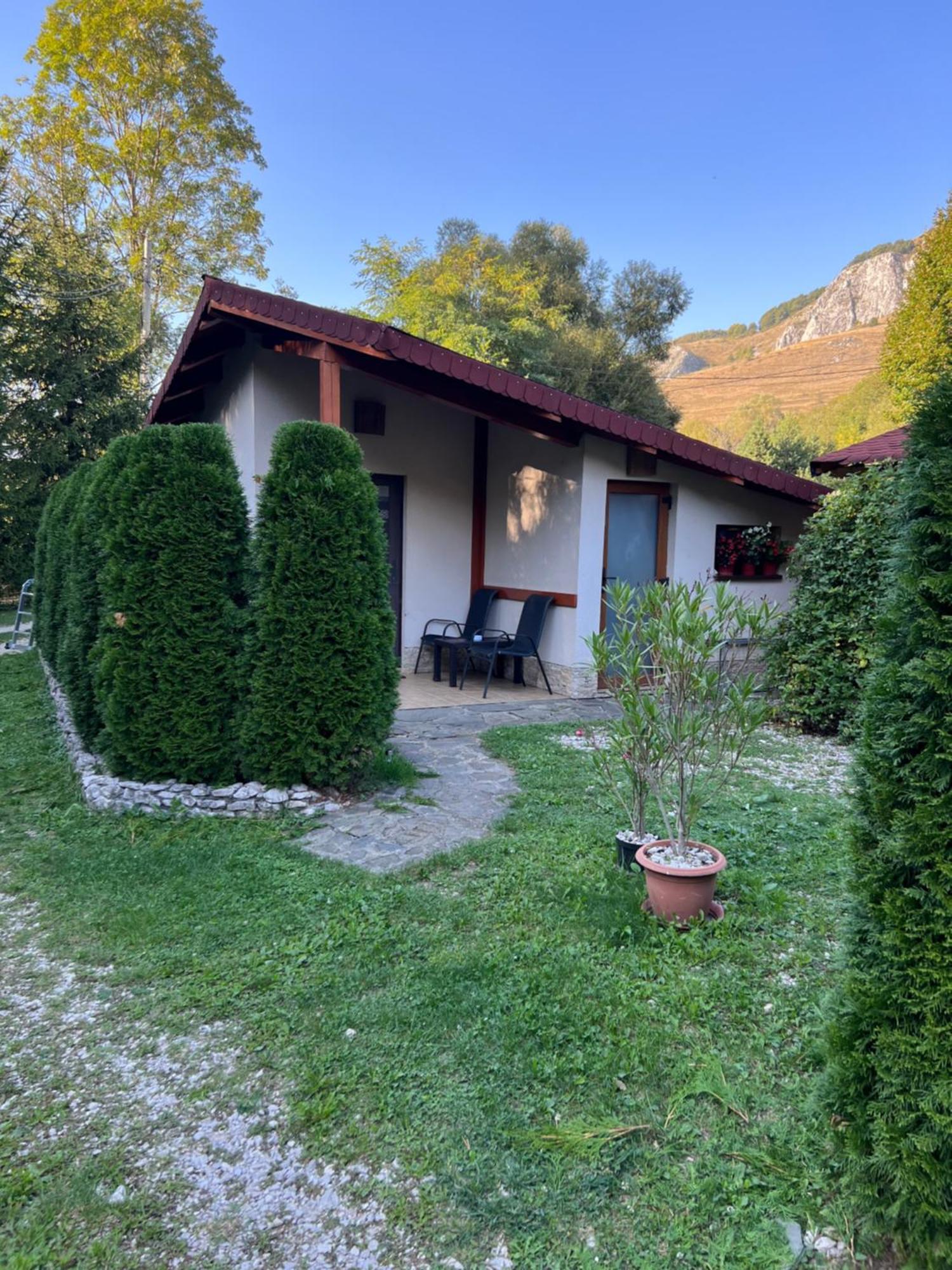 Studiouri Valisoara Kültér fotó