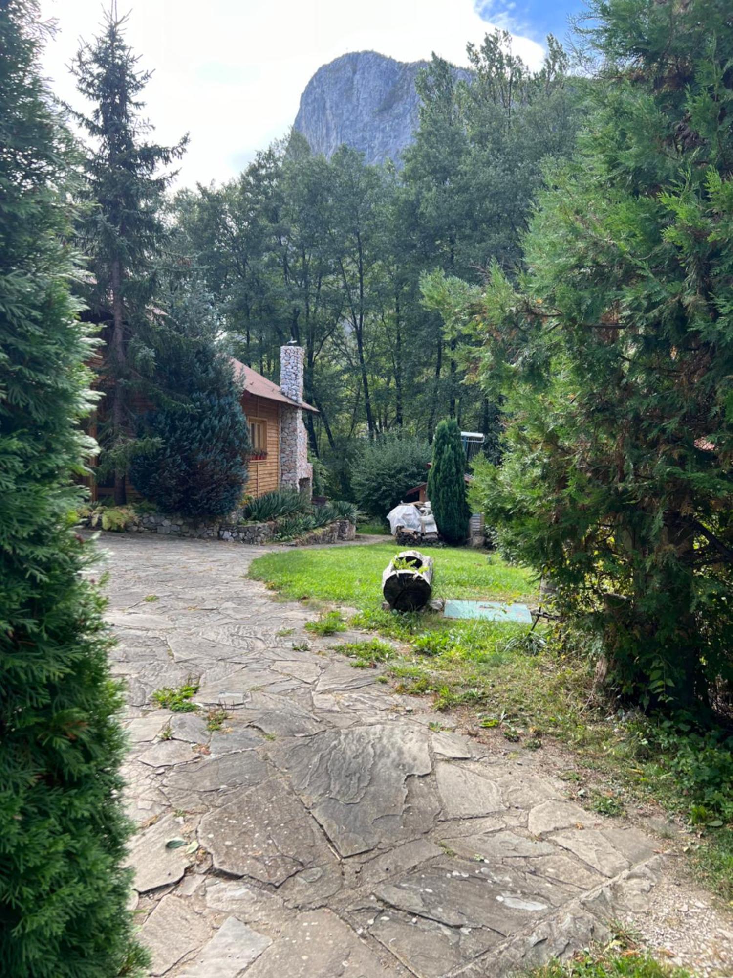 Studiouri Valisoara Kültér fotó