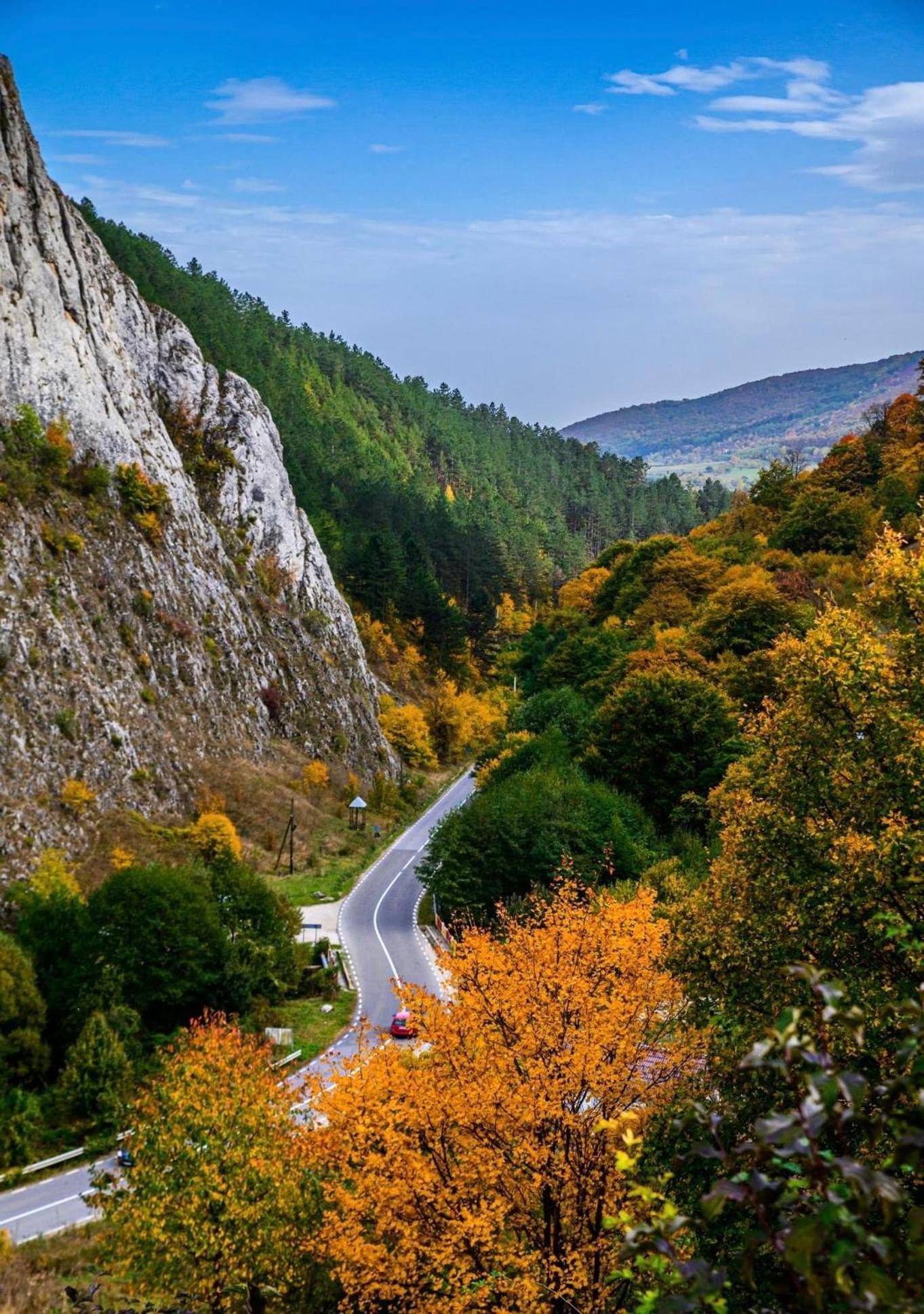 Studiouri Valisoara Kültér fotó