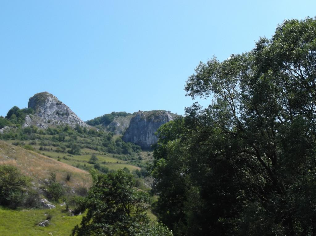 Studiouri Valisoara Szoba fotó