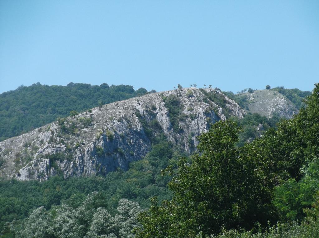 Studiouri Valisoara Szoba fotó