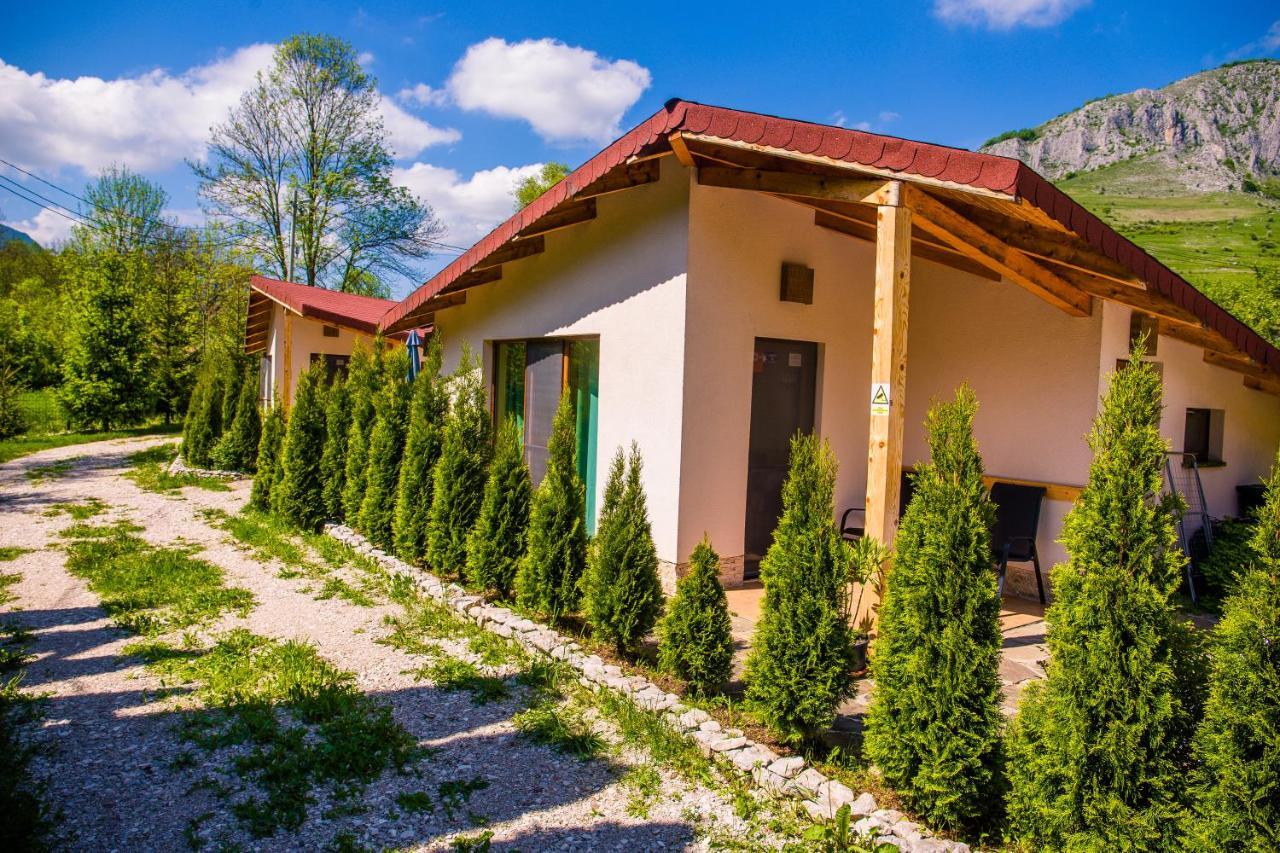 Studiouri Valisoara Kültér fotó