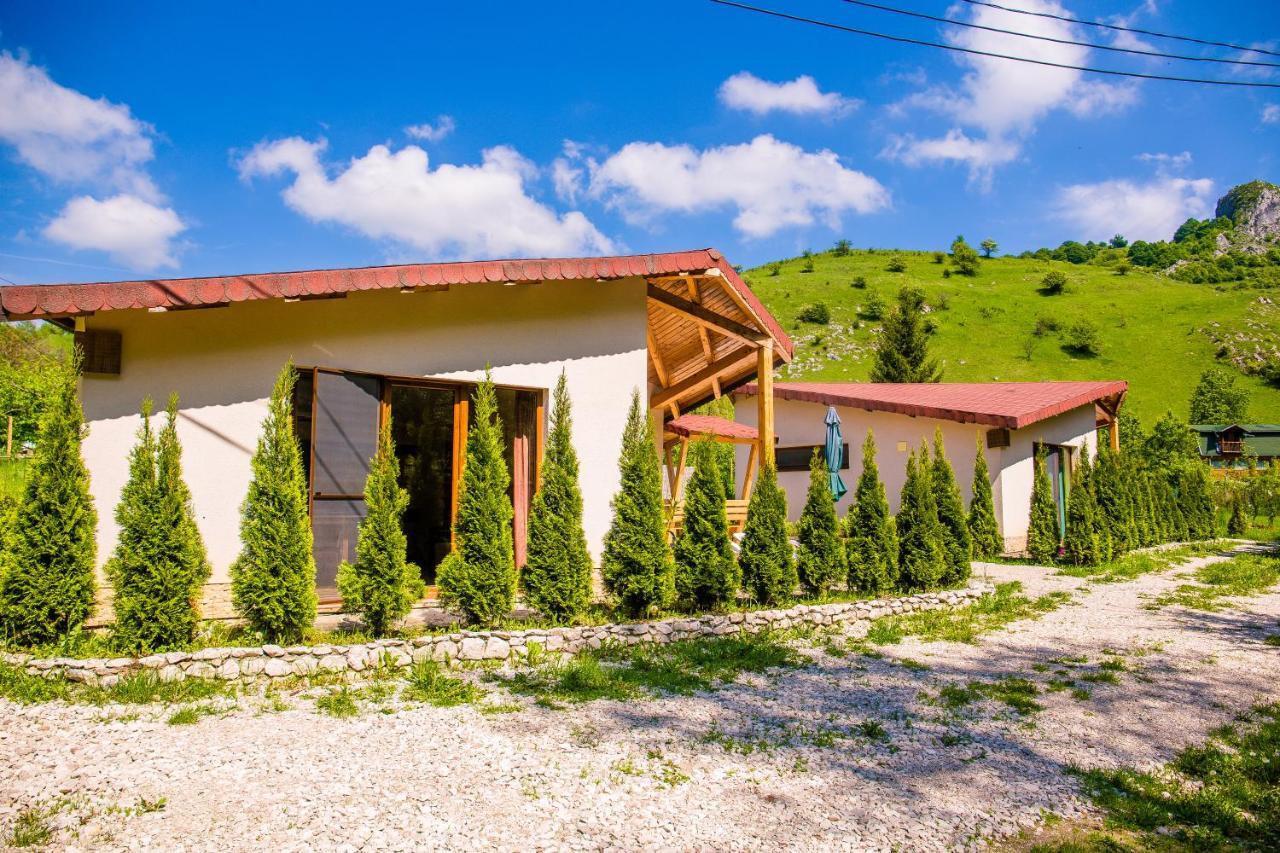 Studiouri Valisoara Kültér fotó